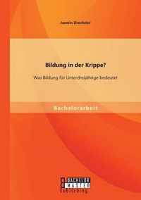 Bildung in der Krippe? Was Bildung für Unterdreijährige bedeutet