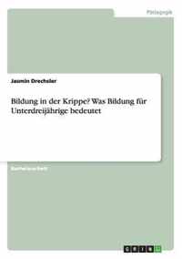 Bildung in der Krippe? Was Bildung für Unterdreijährige bedeutet