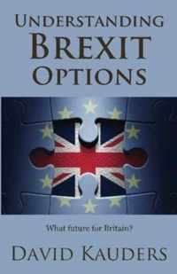 Understanding Brexit Options