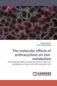 The molecular effects of anthracyclines on iron metabolism