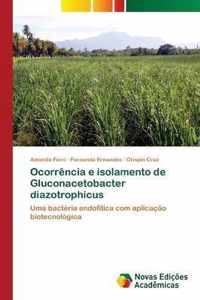 Ocorrencia e isolamento de Gluconacetobacter diazotrophicus