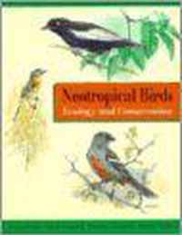 Neotropical Birds