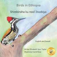 Birds in Ethiopia