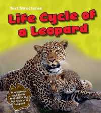 Life Cycle of a Leopard