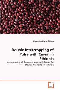 Double Intercropping of Pulse with Cereal in Ethiopia