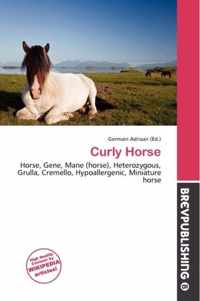 Curly Horse