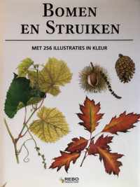 Bomen En Struiken