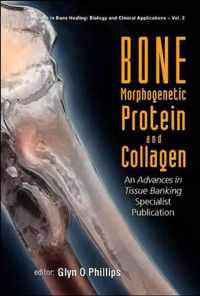 Bone Morphogenetic Protein And Collagen