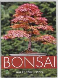 Bonsai