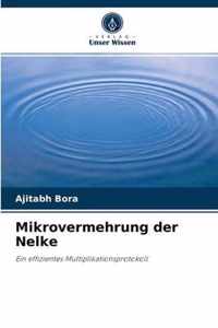 Mikrovermehrung der Nelke