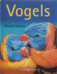 Vogels