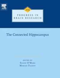 The Connected Hippocampus