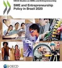 SME and Entrepreneurship Policy in Brazil 2020
