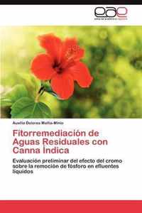 Fitorremediacion de Aguas Residuales Con Canna Indica