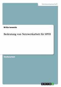 Bedeutung von Netzwerkarbeit fur SPFH