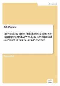 Entwicklung eines Praktikerleitfadens zur Einfuhrung und Anwendung der Balanced Scorecard in einem Industriebetrieb