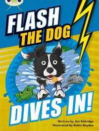 Bug Club Independent Fiction Year 3 Brown B Flash the Dog Dives In!