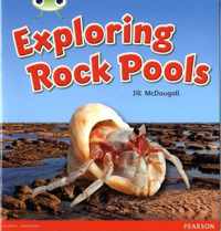 Bug Club Guided Non Fiction Year 1 Green C Exploring Rock Pools