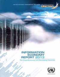 Information economy report 2013