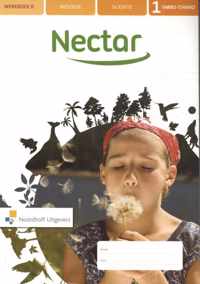 Nectar vmbo-t/havo 1 werkboek B