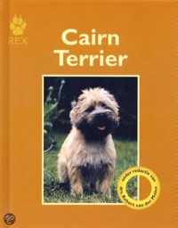 Cairn Terrier