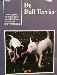 40 bull terrier V.n.k. gids