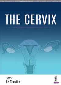 The Cervix