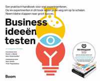 Businessideeën testen