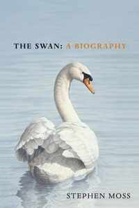 The Swan