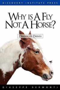 Why is a Fly Not a Horse?