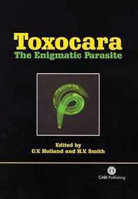 Toxocara