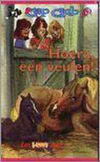 Hoera, 'n veulen