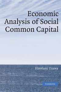 Economic Analysis of Social Common Capital