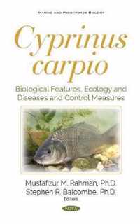 Cyprinus carpio