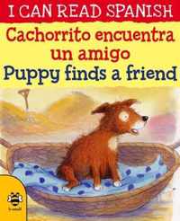 Cachorrito encuentra un amigo / Puppy finds a friend