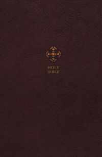 NRSV, Catholic Bible, Journal Edition, Leathersoft, Brown, Comfort Print