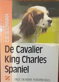 Cavalier king charles spaniel