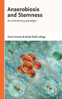 Anaerobiosis and Stemness