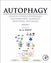 Autophagy: Cancer, Other Pathologies, Inflammation, Immunity, Infection, and Aging