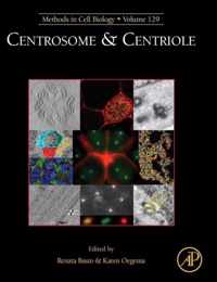 Centrosome and Centriole