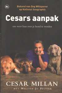 Cesars aanpak