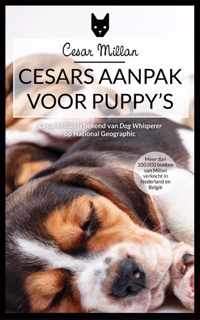 Cesar's aanpak voor puppy's