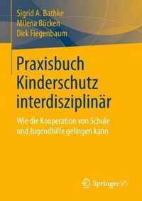 Praxisbuch Kinderschutz Interdisziplinar