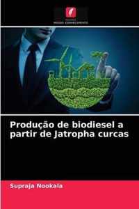 Producao de biodiesel a partir de Jatropha curcas
