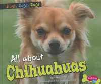 All about Chihuahuas