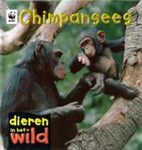 Dieren in het wild  -   Chimpansees