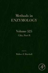 Cilia, Part B