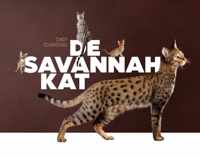 De Savannah kat