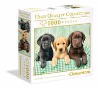 Labrador HQC - Square Box (1000 Stukjes)