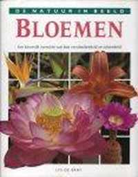 Bloemen